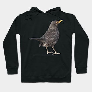 Blackbird Vector Art Cut Out Hoodie